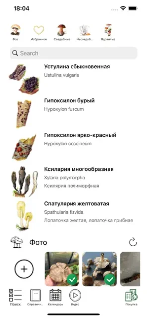 Определитель грибов по фото - приложение для iOS