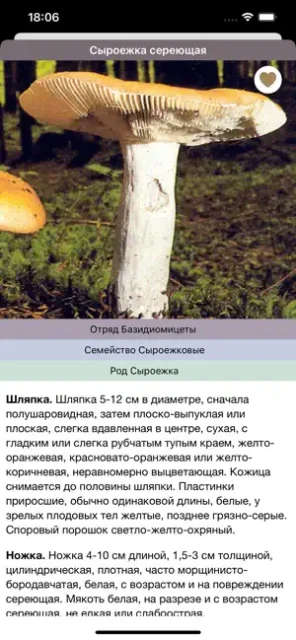 Определитель грибов по фото - приложение для iOS
