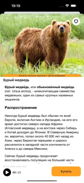Млекопитающие животные Европы