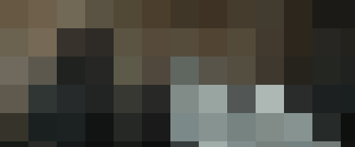 giphy (1)