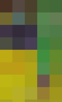 1007054257