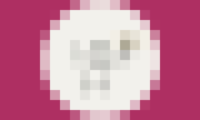 Cust Dev