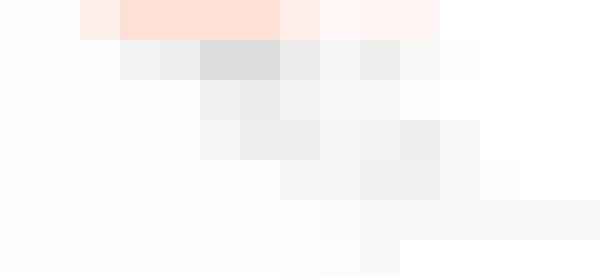The State of Developer Ecosystem 2020