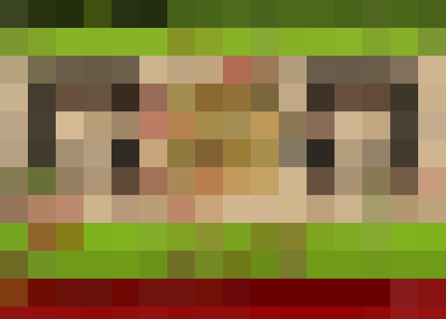 Infectonator