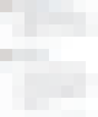 Google: ВУЗ больше не нужен