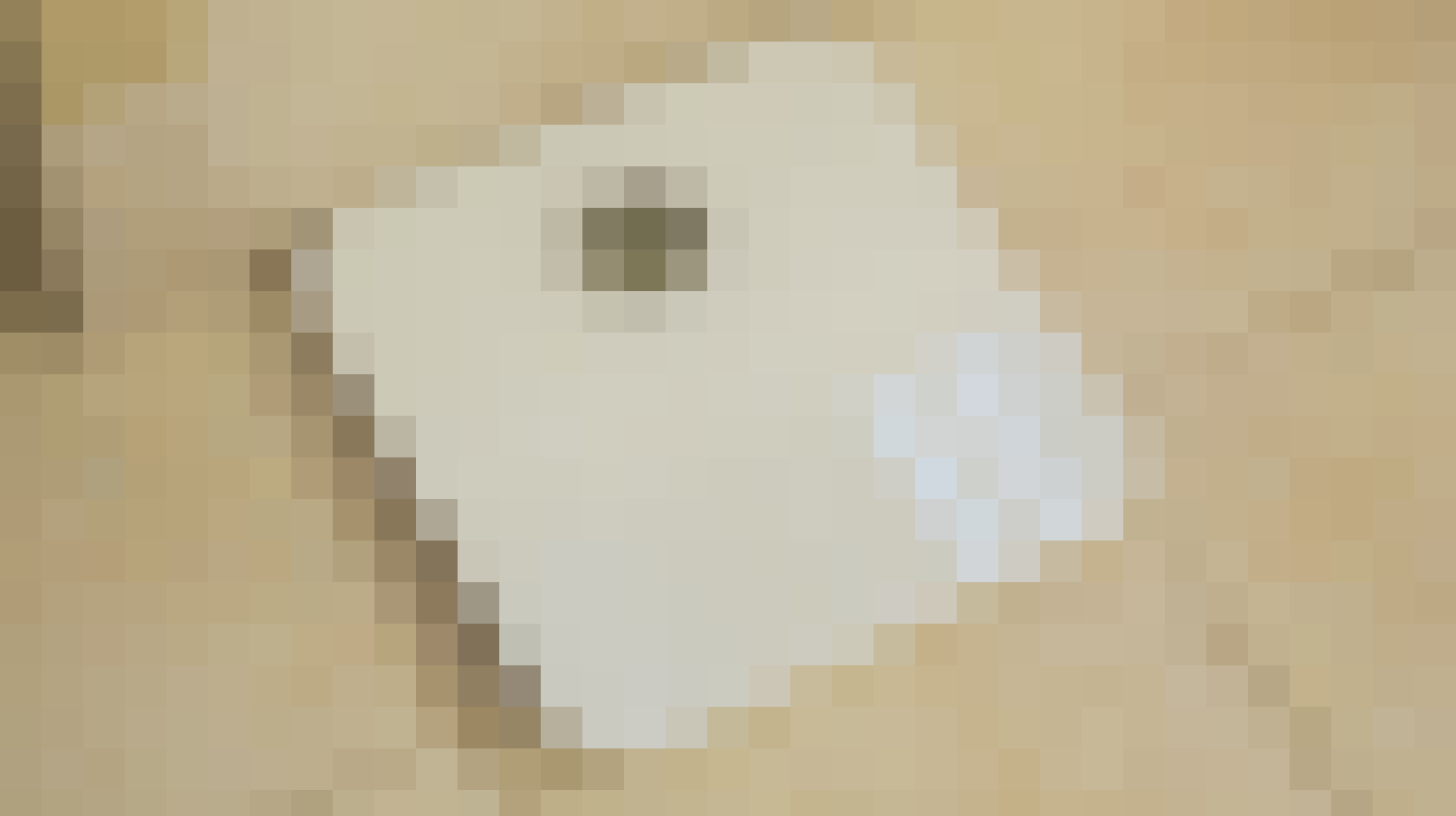 1-AlDpJD9yJw_ZwPKDjYYqkA