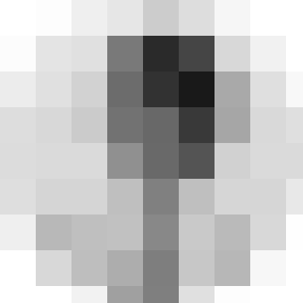 11846498_1611751165777627_608992634_n