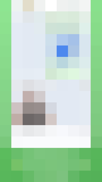 ICQ New