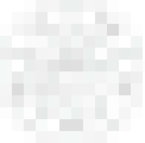 PMBoK