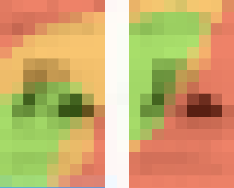 555