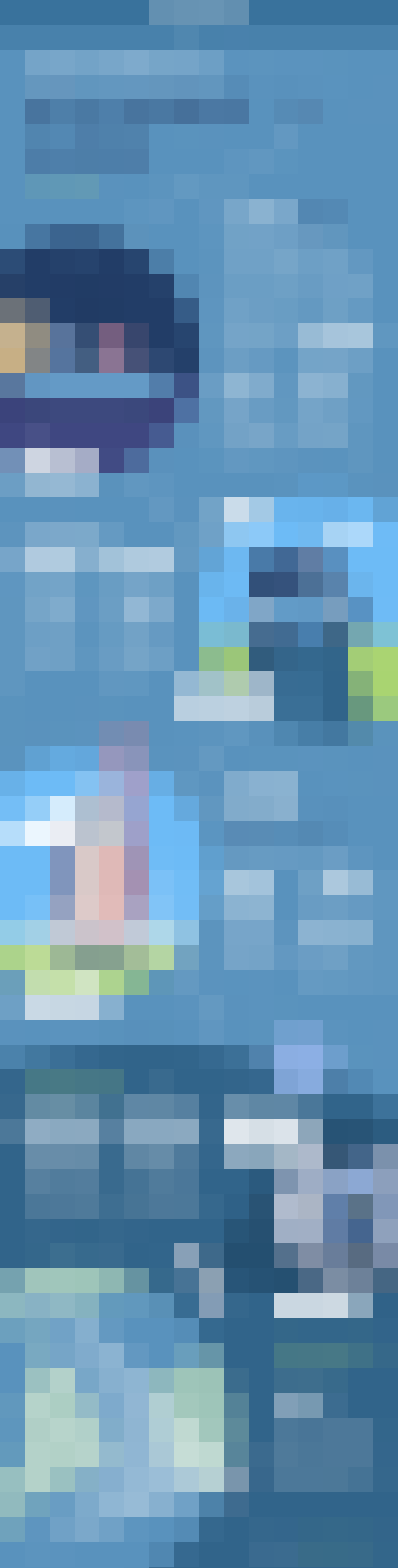 PlayPhone