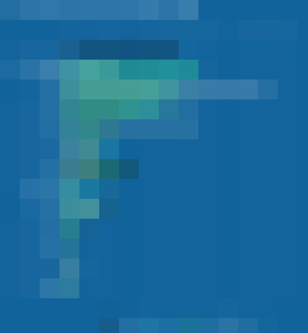 Отчет “Навыки разработчика 2019” от HackerRank