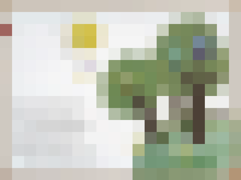 Malish_gif_04