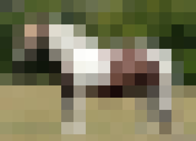 256880830