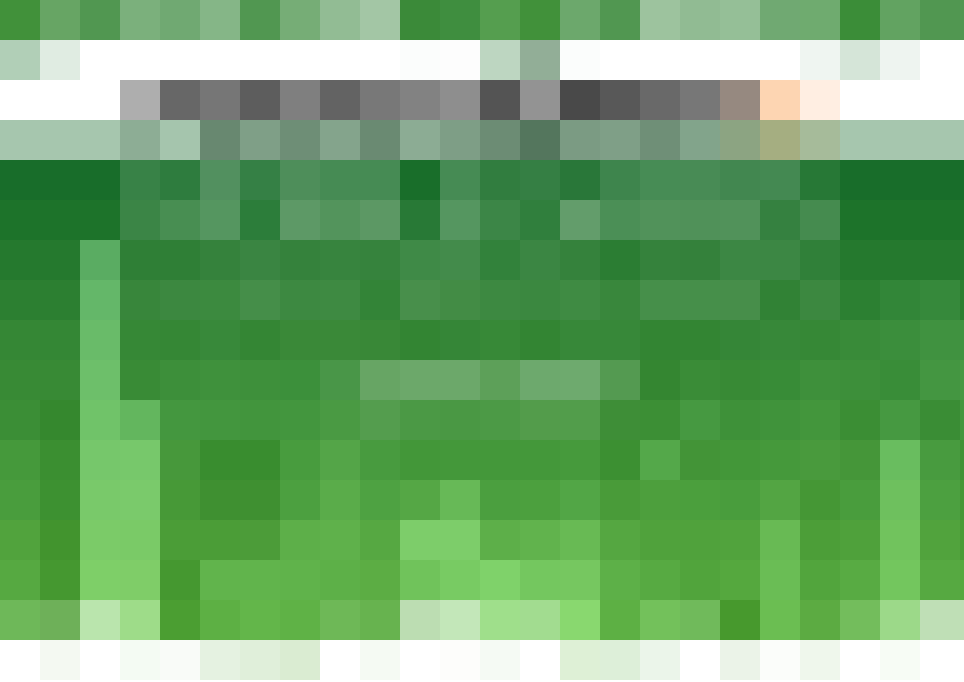 developer